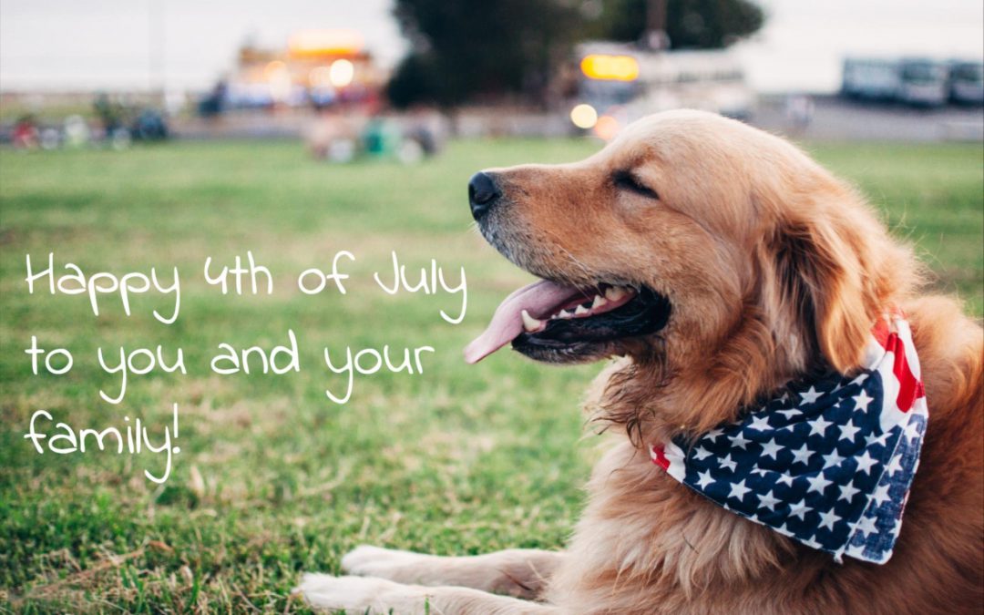 Don’t let your pet become a 4th of July statistic!